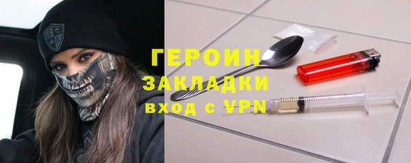 шишки Няндома