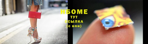 мяу мяу мука Абаза