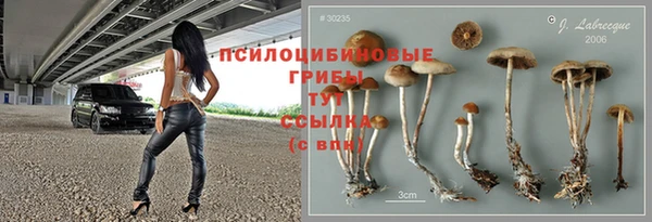 крисы Абинск