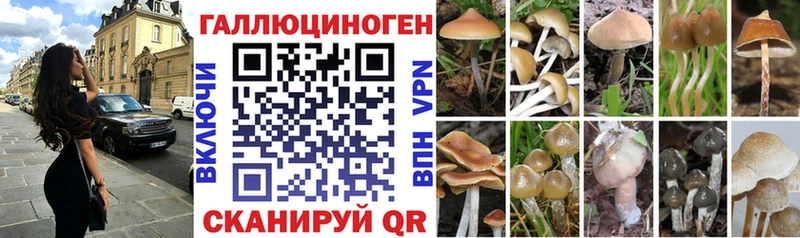 Псилоцибиновые грибы Magic Shrooms  Починок 