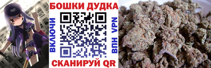 Бошки марихуана конопля  Починок 